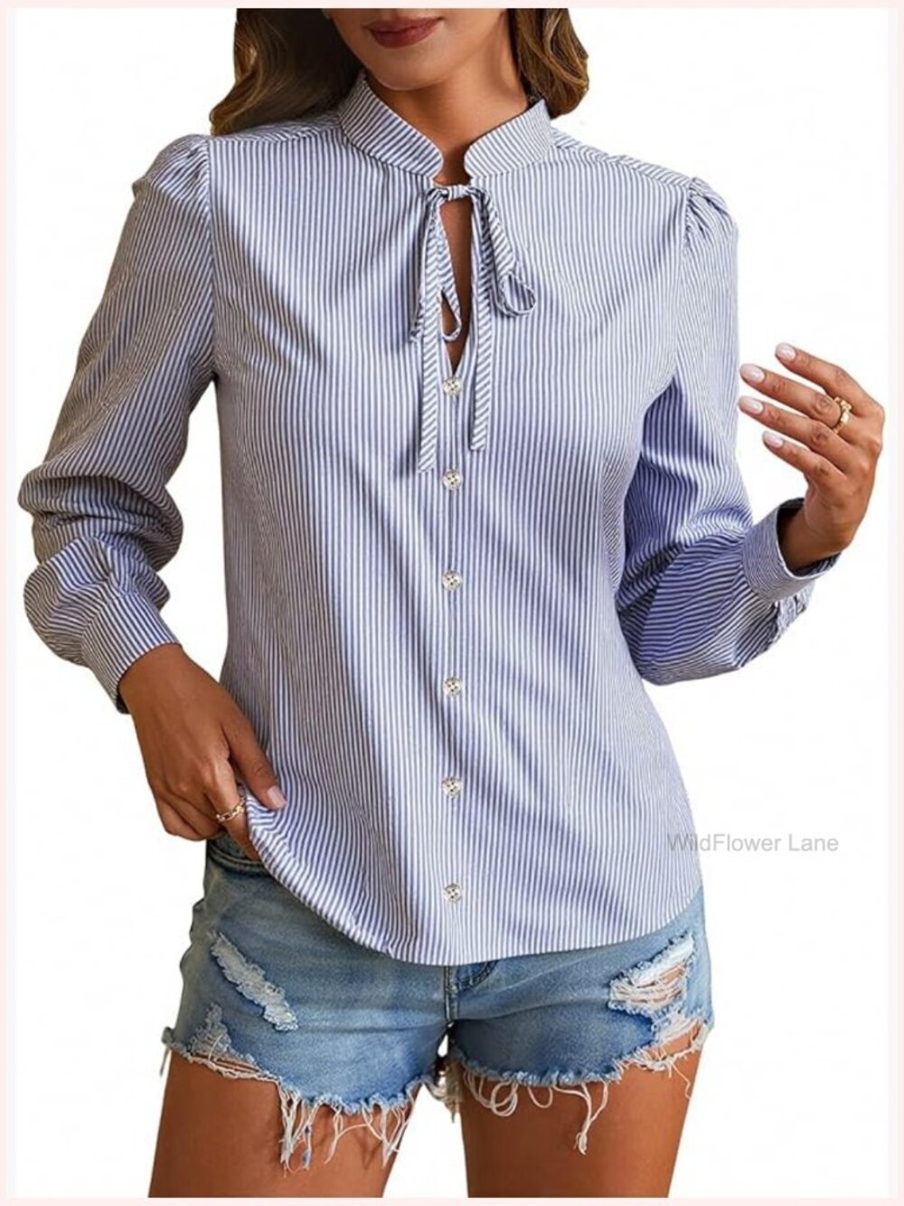 Striped Button Down Shirt Tie Neck Lantern Long Sleeve Blouse